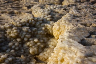 Dead sea kristal tuz İsrail closeup