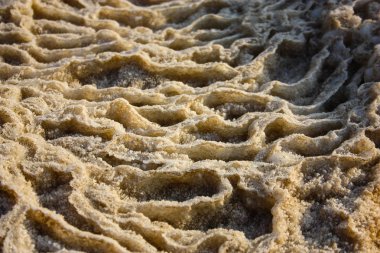 Dead sea kristal tuz İsrail closeup