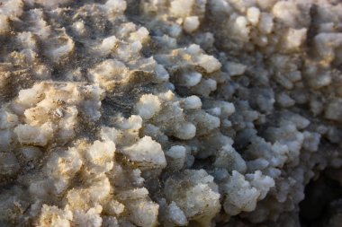 Dead sea kristal tuz İsrail closeup