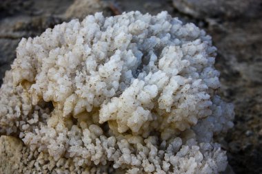 Dead sea kristal tuz İsrail closeup