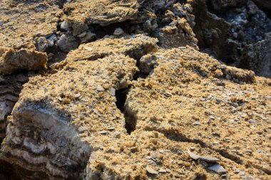 Dead sea kristal tuz İsrail closeup