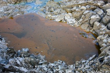 Dead sea kristal tuz İsrail closeup