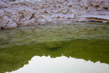 Dead sea kristal tuz İsrail closeup