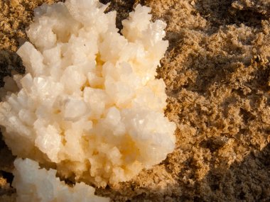 Dead sea kristal tuz İsrail closeup