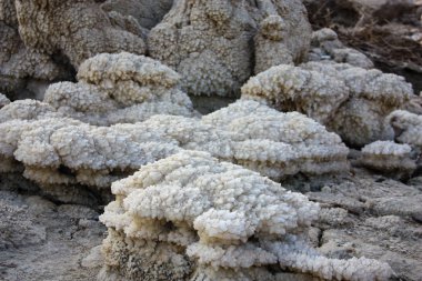 Dead sea kristal tuz İsrail closeup