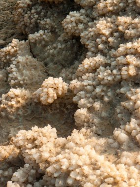 Dead sea kristal tuz İsrail closeup