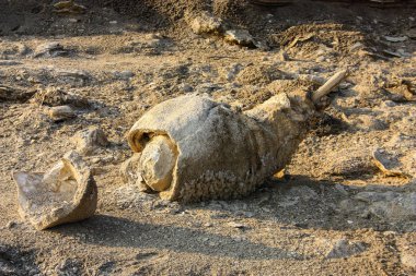 Dead sea kristal tuz İsrail closeup