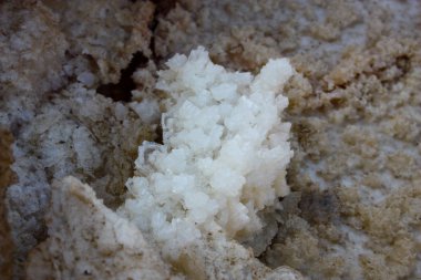 Dead sea kristal tuz İsrail closeup