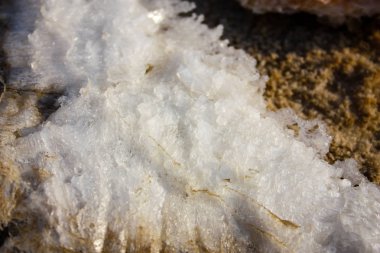 Dead sea kristal tuz İsrail closeup