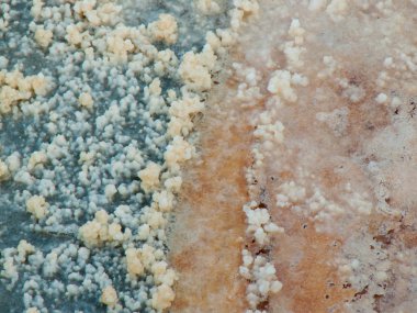 Dead sea kristal tuz İsrail closeup