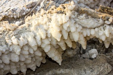 Dead sea kristal tuz İsrail closeup