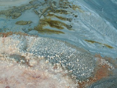 Dead sea kristal tuz İsrail closeup