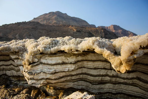Dead Sea Kristal Tuz Srail Closeup — Stok fotoğraf