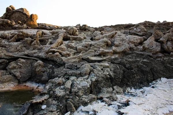 Closeup Sal Cristal Mar Morto Israel — Fotografia de Stock