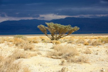 İsrail 'deki Negev Çölü manzarası