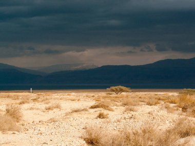 İsrail 'deki Negev Çölü manzarası