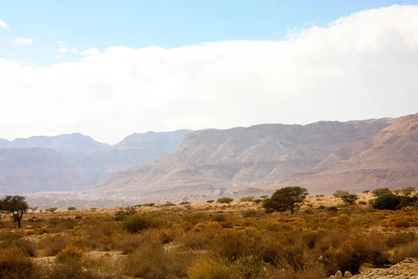 Landscape Negev Desert Israel — Stock Photo, Image