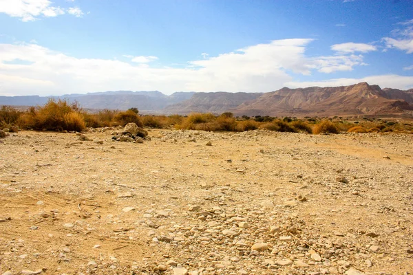 Paisagem Deserto Negev Israel — Fotografia de Stock