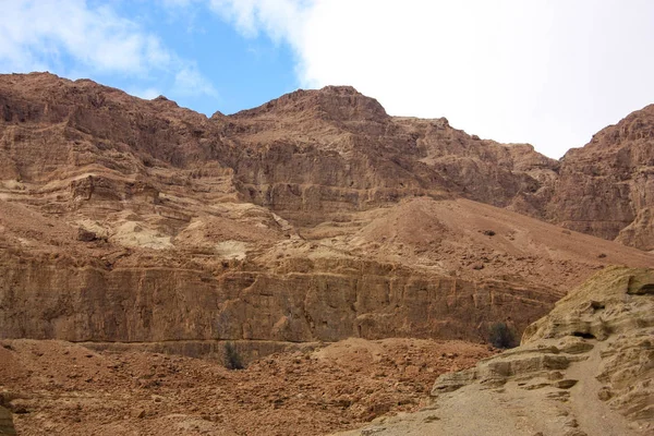 Landscape Negev Desert Israel — Stock Photo, Image