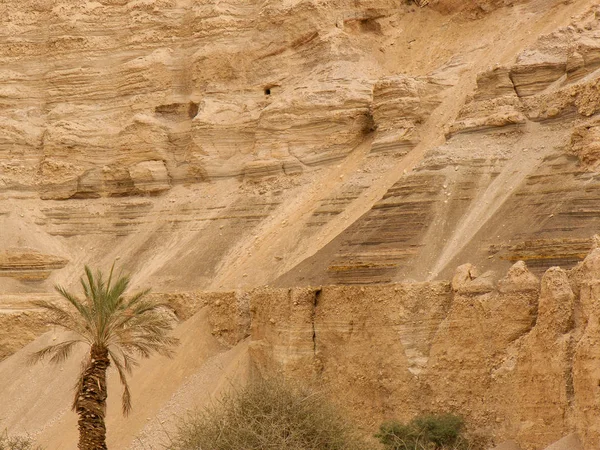 Τοπίο Της Ερήμου Negev Στο Ισραήλ — Φωτογραφία Αρχείου
