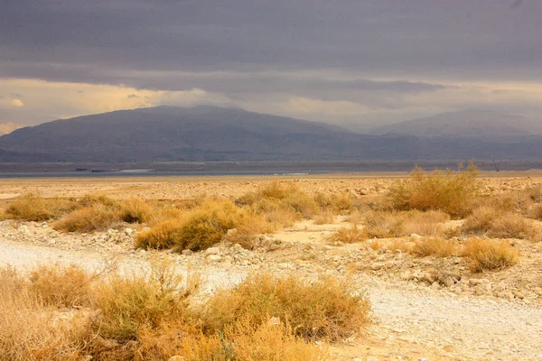 Paisagem Deserto Negev Israel — Fotografia de Stock