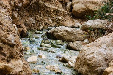 Wadi Bokek doğada saklıdır Judean desert İsrail'in