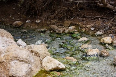 Wadi Bokek doğada saklıdır Judean desert İsrail'in