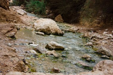Wadi Bokek doğada saklıdır Judean desert İsrail'in
