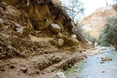 Wadi Bokek doğada saklıdır Judean desert İsrail'in