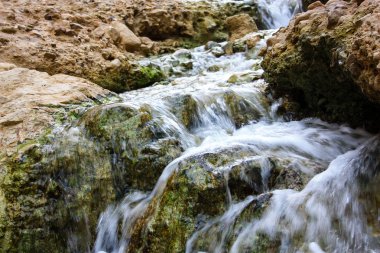 Wadi Bokek doğada saklıdır Judean desert İsrail'in
