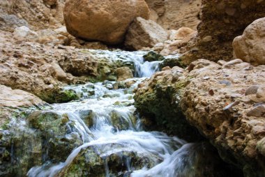 Wadi Bokek doğada saklıdır Judean desert İsrail'in