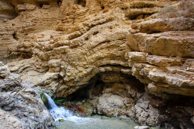 Wadi Bokek doğada saklıdır Judean desert İsrail'in