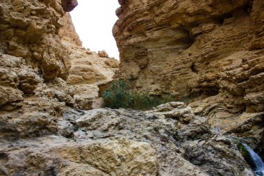 Wadi Bokek doğada saklıdır Judean desert İsrail'in