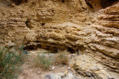 Wadi Bokek doğada saklıdır Judean desert İsrail'in