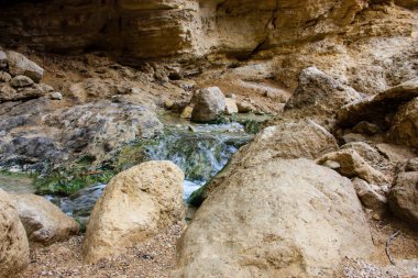 Wadi Bokek doğada saklıdır Judean desert İsrail'in