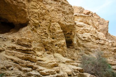 Wadi Bokek doğada saklıdır Judean desert İsrail'in