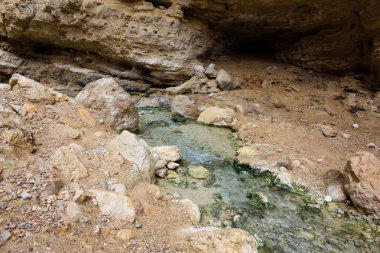 Wadi Bokek doğada saklıdır Judean desert İsrail'in