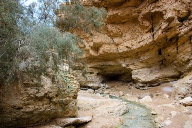 Wadi Bokek doğada saklıdır Judean desert İsrail'in
