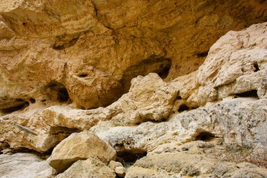 Wadi Bokek doğada saklıdır Judean desert İsrail'in