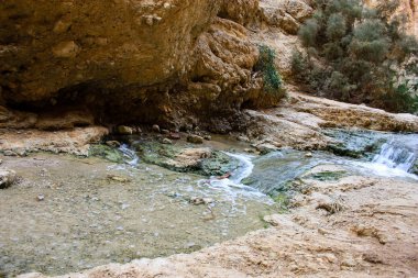Wadi Bokek doğada saklıdır Judean desert İsrail'in