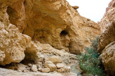 Wadi Bokek doğada saklıdır Judean desert İsrail'in