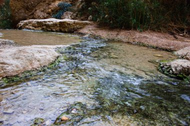 Wadi Bokek doğada saklıdır Judean desert İsrail'in