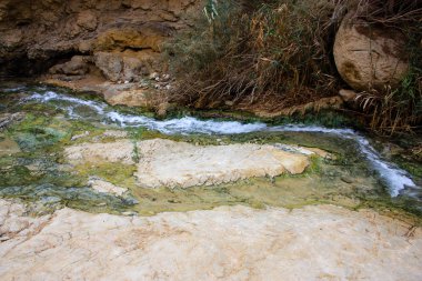 Wadi Bokek doğada saklıdır Judean desert İsrail'in