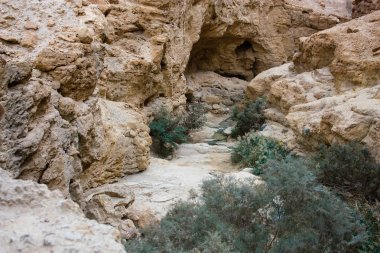 Wadi Bokek doğada saklıdır Judean desert İsrail'in