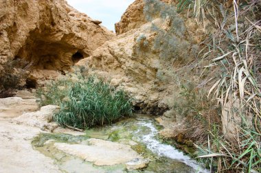 Wadi Bokek doğada saklıdır Judean desert İsrail'in
