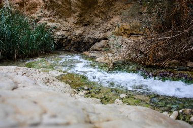 Wadi Bokek doğada saklıdır Judean desert İsrail'in