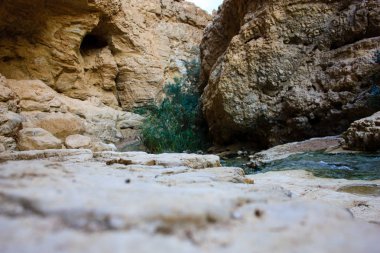 Wadi Bokek doğada saklıdır Judean desert İsrail'in