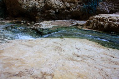 Wadi Bokek doğada saklıdır Judean desert İsrail'in