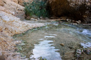 Wadi Bokek doğada saklıdır Judean desert İsrail'in