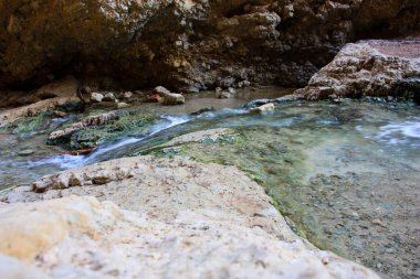 Wadi Bokek doğada saklıdır Judean desert İsrail'in